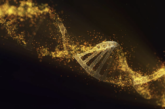 Descubrimiento científico revela que el ADN humano ha comenzado a evolucionar